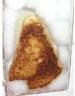 Grilled Cheese Virgin Mary